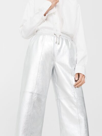 Metallic pant